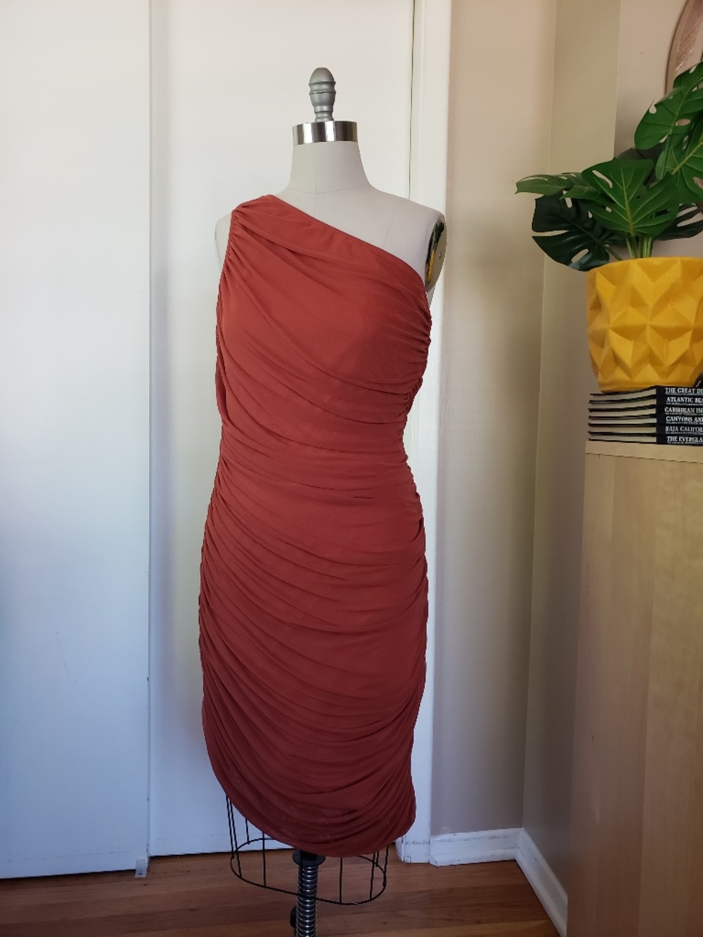 PrettyGarden Ruched Midi Dress Size XL NEW!